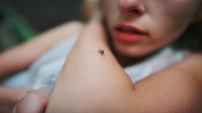 Why You Might Be A Mosquito Magnet