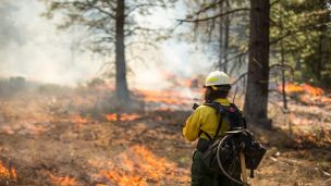 It’s Fire Season: Don’t Be Caught Off Guard and How to Stay Safe