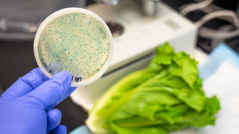 Got This Lettuce in Your Fridge? Throw it Out Before You Get Sick