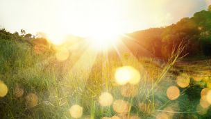 Could Butt Sunning Be Better Than a Cup of Coffee?