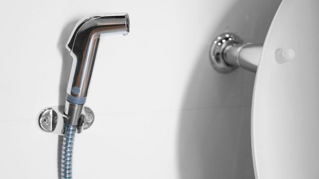 bidet spray in a restroom
