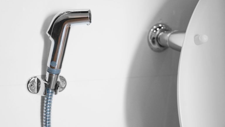 The Grocery Store Ran Out of Toilet Paper, So I Made a Bidet