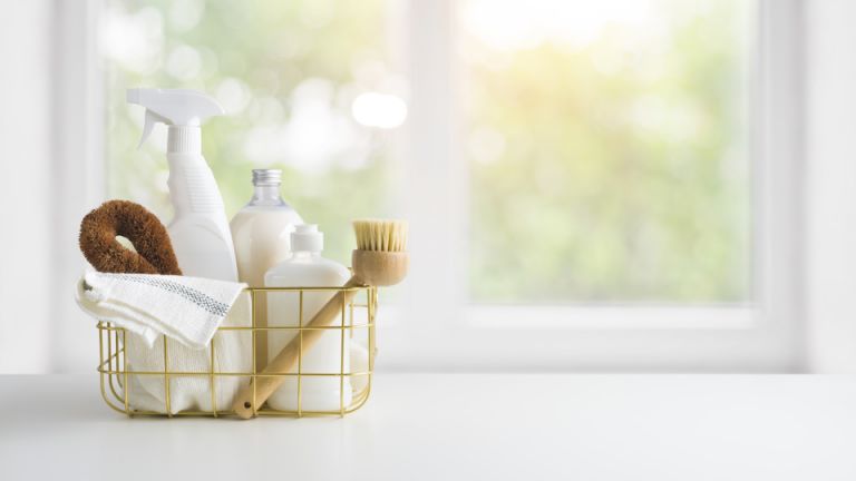 Store Shelves are Empty: Make Your Own Home Cleaning and Disinfecting Kit