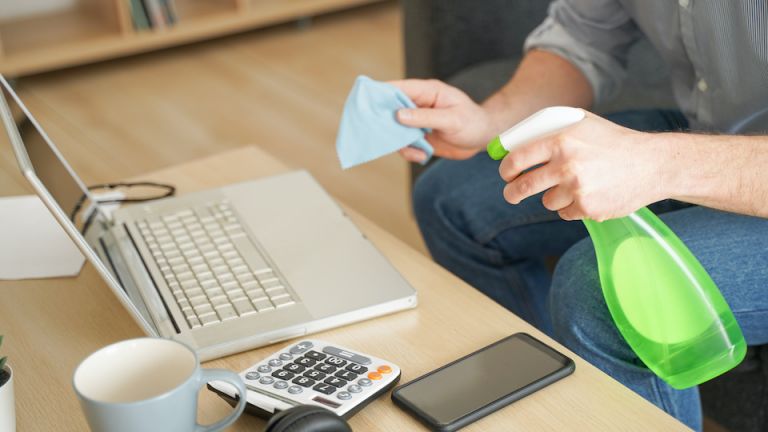 Is Your Ultra-Sanitized House Making You Sick?