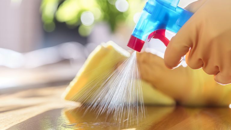 The Ultimate Guide to Home Disinfection: What You Should Be Doing Daily