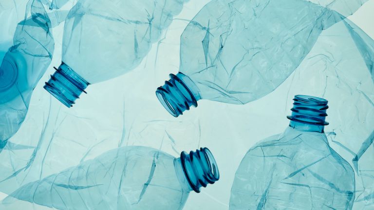 Your Water Bottle Could be Hurting Your Immune System