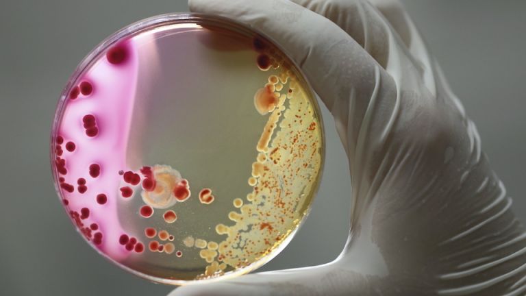 These Easy Tricks Can Help Increase Your Natural Antibodies