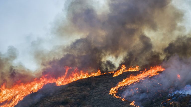The Real Dangers of Breathing Wildfire Smoke
