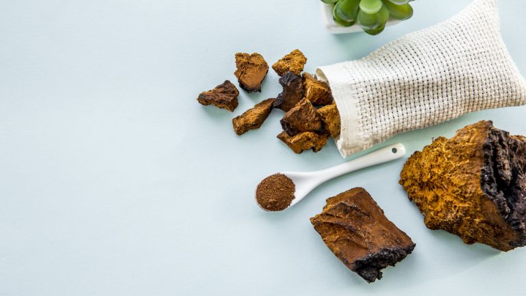 6 Reasons You Should Drink Toadstool Tea