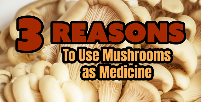 3 Reasons to Use Mushrooms as Medicine