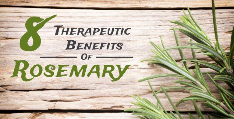 8 Therapeutic Benefits Of Rosemary