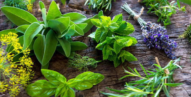 Herbs that Banish Gas, Bloating, Heartburn and More