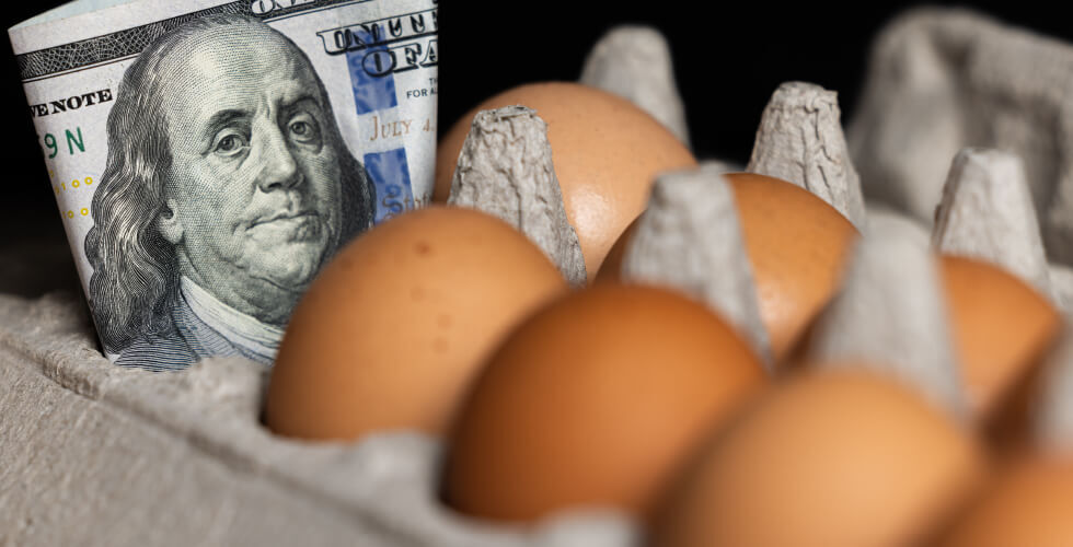 Egg Prices Spike on Bird Flu Scare