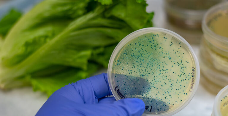 More Contamination, More Deaths: Why 2024 Was a Wake-Up Call for U.S. Food Safety