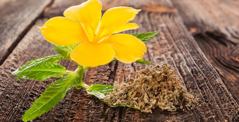 Damiana Tea: The Herbal Secret to Boosting Your Libido