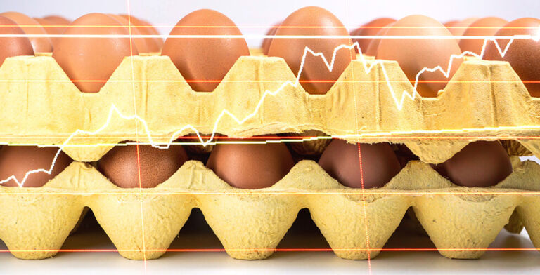 Trump Steps In to Crack Down on Soaring Egg Prices