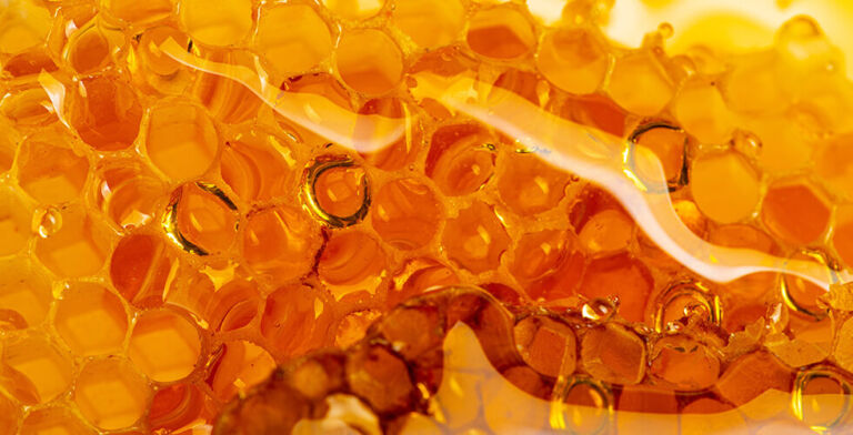 Can Honey Help You Lose Weight? Maybe… But it Does SO Much More