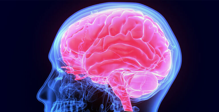 Fat Can Damage the Brain in Just 3 Days — But Not All Fats Are the Enemy