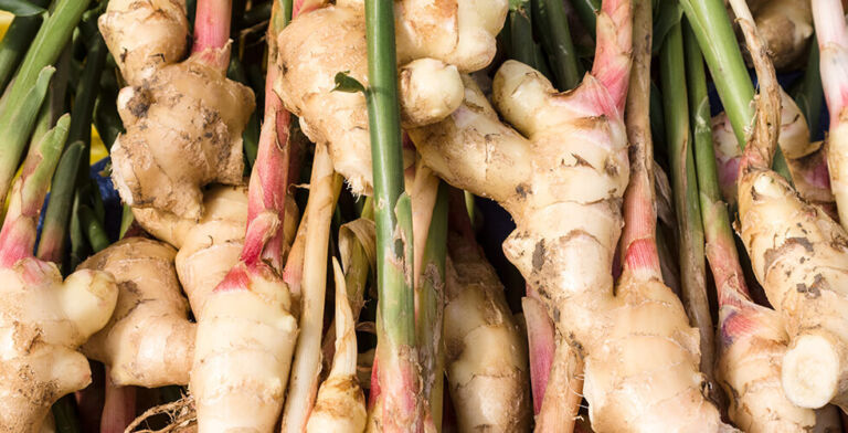 Ginger Just Got Even Better: New Study Reveals Major Heart Health Perks