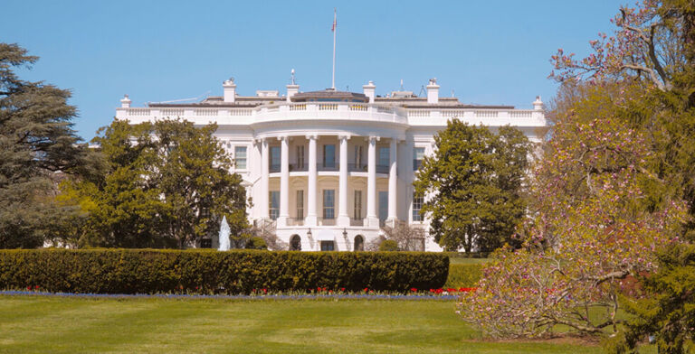 Musk’s 130 Days of Disruption: Government Won’t Be the Same