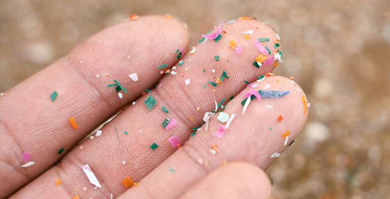 Plastic in Your Dinner? Why Urgent Food Recalls Are on the Rise