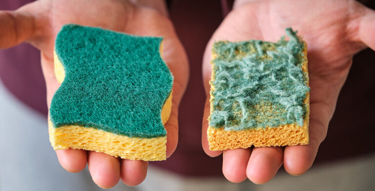The Dirty Truth About Your Kitchen Sponge: When to Toss It and Why