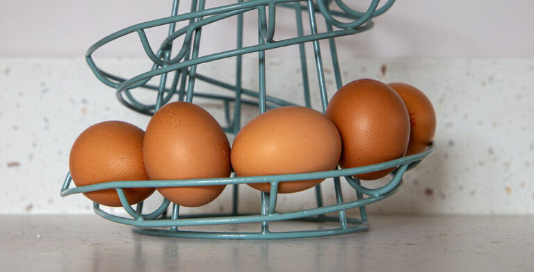 The Truth About Countertop Eggs: Why Refrigeration Matters More Than You Think