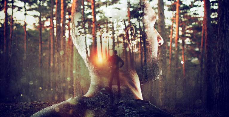 A Forest in Your Mind: How Visualizing Nature Eases Anxiety