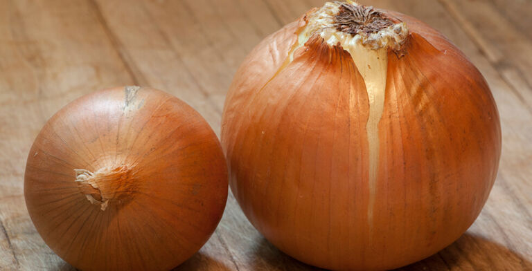 Are You Storing Onions the Wrong Way? Here’s How to Do It Right