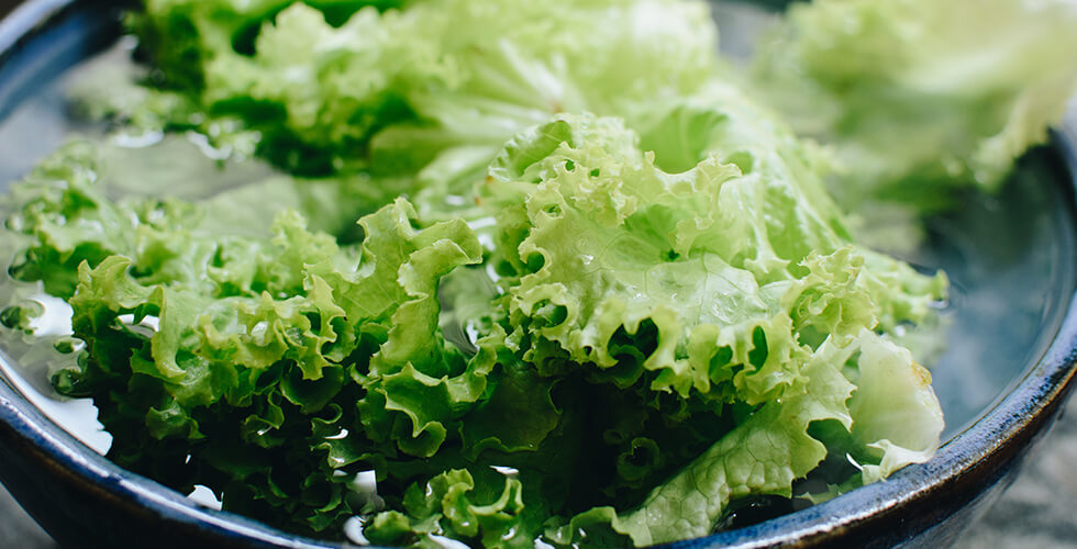 Can Lettuce Water Really Help You Sleep? Here’s What Experts Say About the Viral Trend