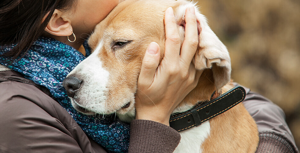 Can Your Pet Make You as Happy as a Spouse? A Surprising New Study Says Yes