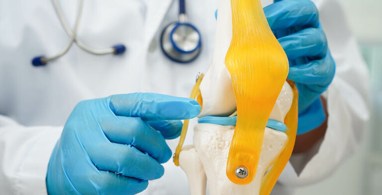 Groundbreaking Therapy uses Nasal Cartilage to Repair Knee Cartilage