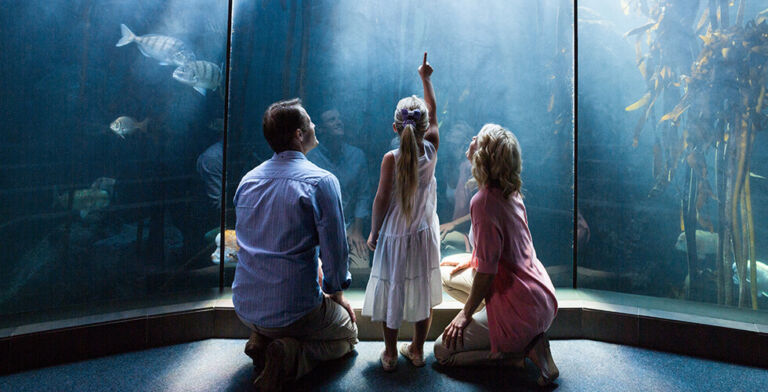 Stop and Say Wow: How Everyday Awe Can Fight Depression and Stress