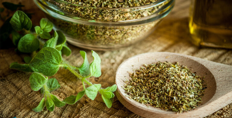 The Underrated Health Benefits of Fresh Oregano