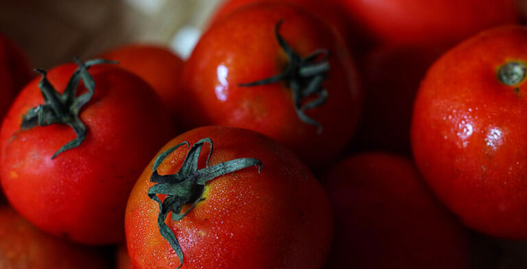 Tomato Recall: Salmonella Risk Triggers Urgent Warning in 11 States