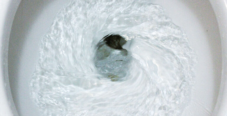 Why Is Your Poop Green? The Surprising Science Behind It