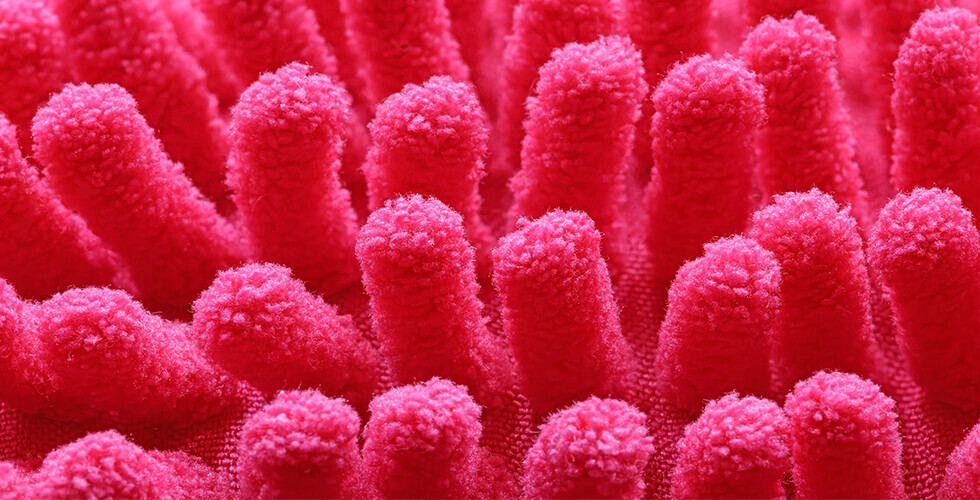 Why You Got Sick and They Didn’t: The Secret of Your Gut Microbiome