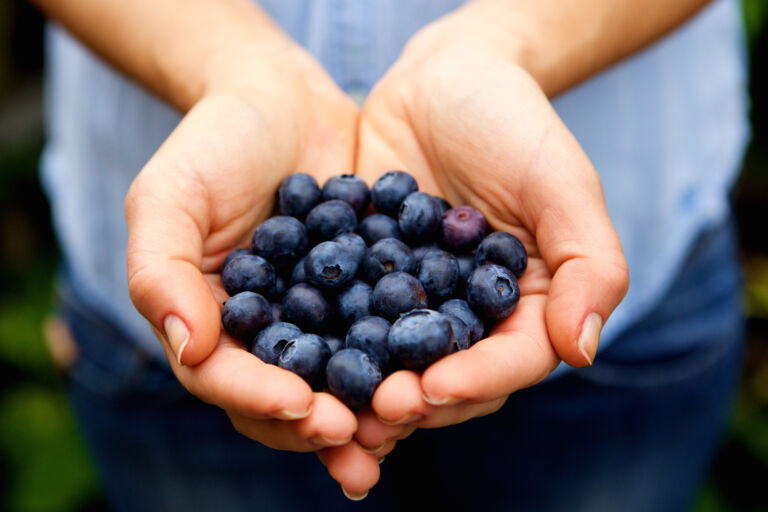Berry Smart: When (and How) to Eat Blueberries for Maximum Benefit