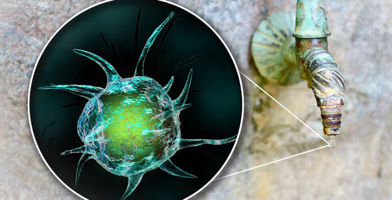 Deadly Amoeba Claims Life of Texas Camper After Nasal Rinse with Tap Water