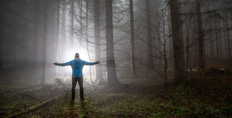 Discovering Forest Bathing: Nature’s Path to Wellness