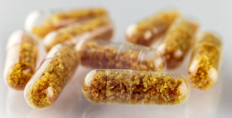 Fecal Transplants May Pose Hidden Risks—New Study Sounds the Alarm