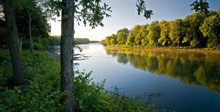 Mercury in Rivers Has Tripled Since the Industrial Revolution, New Study Reveals