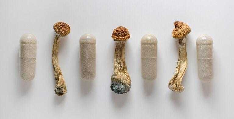 One “Magic Mushroom” Trip Eases Depression in Cancer Patients for Two Years