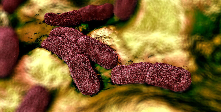 Arizona Plague Death Prompts Preventive Measures as Health Officials Monitor Potential Spread