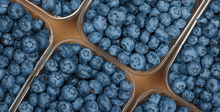 Blueberry Recall Hits Highest Alert Over Deadly Listeria Risk