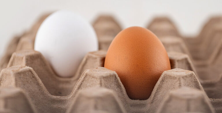 Cracking the Truth: Do Brown Eggs Beat White? A Dietitian Debunks the Myths