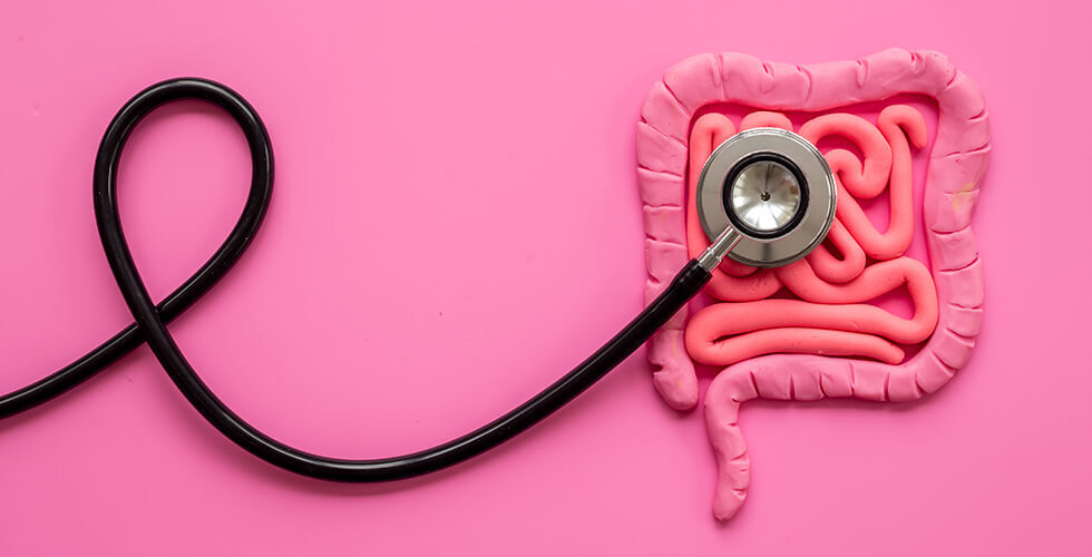 Gut Instincts: Your Colon’s ‘Sixth Sense’ Could Be the Secret to Weight Loss