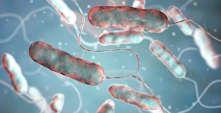 Harlem Legionnaires’ Outbreak Leaves 1 Dead, 22 Sick as Health Officials Race to Contain Spread