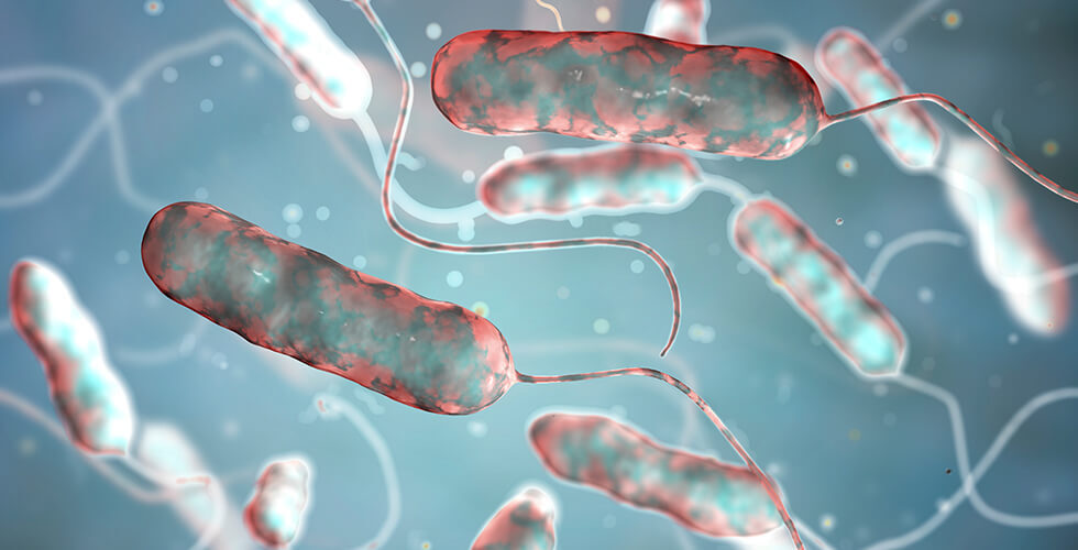 Harlem Legionnaires’ Outbreak Leaves 1 Dead, 22 Sick as Health Officials Race to Contain Spread