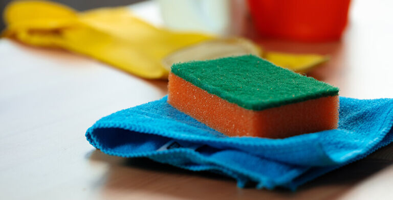 Is Your Home Dirtier Than a Toilet Seat? 15 Everyday Items Crawling with Germs